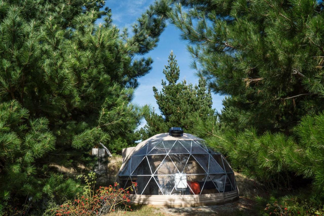 Mt Gold Glamping Otel Wanaka Dış mekan fotoğraf
